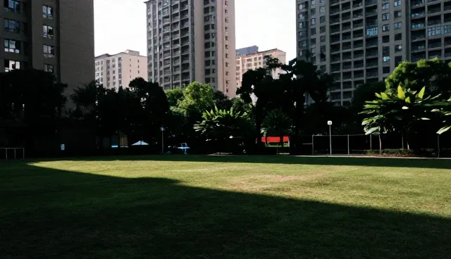商务考察中包车服务的适用情况与使用误区