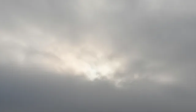 包车业务如何通过管理办法优化应用场景